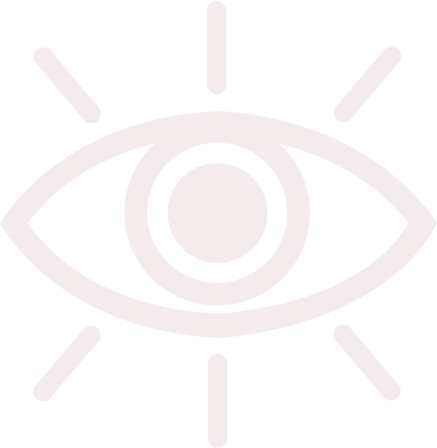 vision